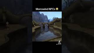 Morrowind npcs where unhinged theelderscrolls [upl. by Jeritah]