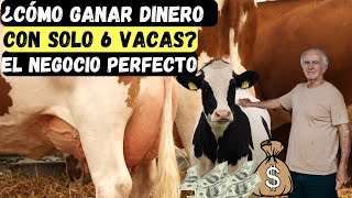 COMO EMPREDER UN PROYECTO DE 6 VACAS LECHERAS NEGOCIO DE LECHERIA SEMIESTABULADA [upl. by Eglanteen]