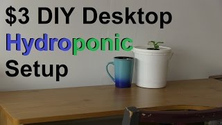 How to Make a Simple 3 DIY Desktop Hydroponic System [upl. by Hillard]