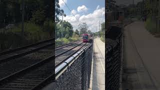 Parramatta Light Rail testing at Telopea [upl. by Ezaria152]