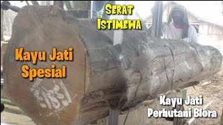 kayu Jati Serat istimewaSawmill kayu jati perhutani Blora log A3 DM46280 Tectona grandis Teak Wood [upl. by Ettesyl]