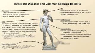 Bacterial Etiologies of Common Infections Antibiotics  Lecture 2 [upl. by Cis633]