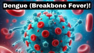 Dengue Breakbone Fever Cause Symptoms Treatment and Prevention [upl. by Orecul]