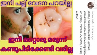 പല്ല് വേദനയും നീരും മാറ്റാം Natural Home Remedies For tooth pain dincy babu [upl. by Morocco]