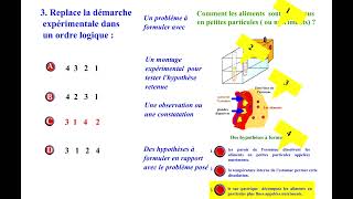 QCM REPONSES DIGESTION 2 [upl. by Sahpec]