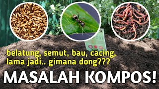 JIKA KOMPOS ADA BELATUNG SEMUT CACING BERBAU LAMA JADI FAQs about Compost [upl. by Arreip]