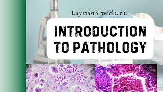 Introduction to Pathology Hindi lecture [upl. by Atlee]