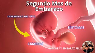 Todos los SINTOMAS del segundo mes de embarazo síntomas y cambios físicos🤰  semanas de embarazo💛 [upl. by Prinz766]