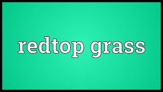 Redtop grass Meaning [upl. by Yramesor580]