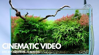 60P Aquascape  14 Month Cinematic Video [upl. by Nitaj]