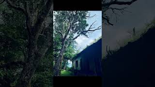 Bonacaud Ghost Bangalow 👻 foryou forest ghost shorts short video viralvideo viralshorts [upl. by Lisa]