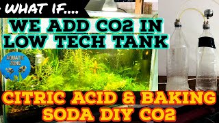 DIY CO2 Using Citric Acid amp Baking Soda  Experimenting Lowtech Planted Tank With DIY CO2  Easy CO2 [upl. by Rosana]