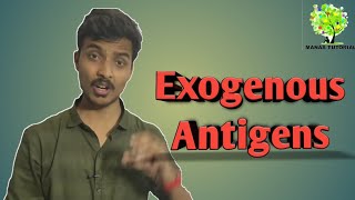 Exogenous Antigens  Endocytic Pathway MHCManas Mishra [upl. by Eisenhart]