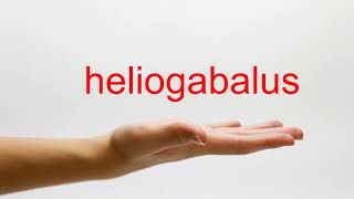 How to Pronounce heliogabalus  American English [upl. by Lindie]