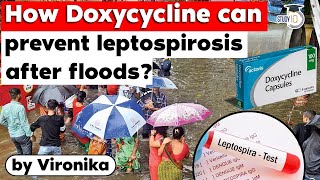 How Doxycycline medicine can prevent leptospirosis after floods UPSC GS Paper 3 Disaster Management [upl. by Dorris]