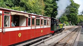 Lyn arrives at station August 24th 2024 [upl. by Mcnally]