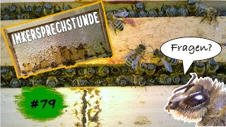 Imkersprechstunde 79  Ihr habt Fragen zu den Bienen  Wir geben Antworten 12112024 [upl. by Aihsemat]