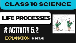 Activity 52  Class 10 Science  Chapter 5  Life Processes  Explanation in detail [upl. by Sinne]