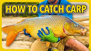 How to catch carp CHEAP and SIMPLE carp fishing tips [upl. by Tabitha281]