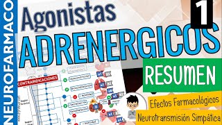 SIMPATICOMIMÉTICOS RESUMEN CLASIFICACIÓN Sinapsis Adrenérgica Receptores adrenérgicos PARTE 1 [upl. by Quartus]