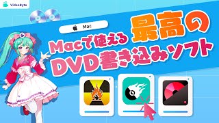 Mac向けのDVD焼く・書き込み・作成ソフトおすすめ【2024最新】 [upl. by Kilar278]