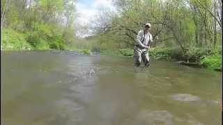 Kinnickinnic River Brown Trout [upl. by Deth414]