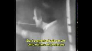 Gilles Deleuze quotDois regimes de signosquot legendas em português [upl. by Oel]