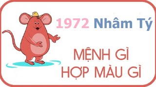 Những người sinh năm 1972 mệnh gì và tuổi gì [upl. by Aihsoem]