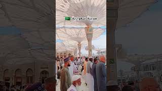 almadinah almunawara masjidnabawi shortvideo subscribe [upl. by Prudhoe290]