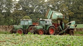 Fodder Beet Lifting with Fendt and Armer Salmon [upl. by Suoirrad]