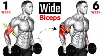 Best Exercises Bicep  Full Bicep Curls  Short Heat  Long Head  Brachialis 🏠At Home🏠 [upl. by Wenz]