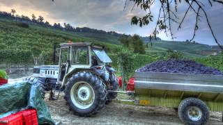 Langhe Roero  Piedmont Italy [upl. by Asselam585]