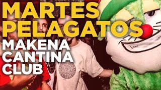 Martes PelaGatos en Makena Cantina Club  Fiesta Reggae [upl. by Eissak985]