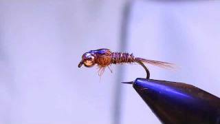 Tying a Pheasant Tail Nymph [upl. by Emmeline]