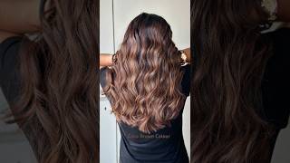 COCO Brown Hair Colour balayage highlights haircolour fashion haircolor mochahaircolour [upl. by Nats]