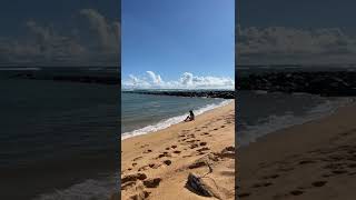 Tonga Tsunami hits Hawaii Jan 17 2022 brave little girl swimming in the ocean after Tonga Tsunami [upl. by Yrogreg191]