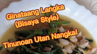 Ginataang Langka Bisaya Style  Tinunoan Utan Nangka  Jackfruit Recipe [upl. by Ahtilat]