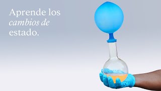 APRENDIENDO con EXPERIMENTOS los CAMBIOS de ESTADO  EduCaixa [upl. by Ahsin]