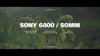 Sony A6400 Cinematic Video  Nature cinematic  50mm lens  2024 [upl. by Cathrin475]