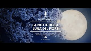 LA SUPERLUNA DI MAGGIO IN DIRETTA VIDEO HD  FLOWER SUPERMOON LIVE VIDEO HD FROM ITALY [upl. by Kiah]