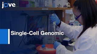 Adipose Tissue Nuclei for SingleCell Genomic Applications  Protocol Preview [upl. by Abigael363]