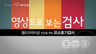 헬리코박터균 진단을 위한 요소호기검사 영상으로 보는 검사 [upl. by Wandis236]