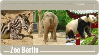 Zoo Berlin [upl. by Oznecniv]