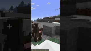 Freezing time with new tick command Snapshot for 1203 minecraft minecraftshorts [upl. by Siduhey]