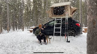 Solo Winter Roof Top Tent Camping With My Dog  Cozy Camp [upl. by Hilarius]