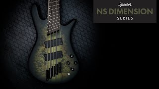 Spector NS Dimension MultiScale Bass [upl. by Thisbee971]