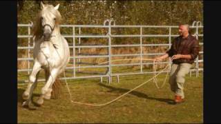 Breeding Stallion Harmón Reborn  Authentic Horsemanship [upl. by Almita]