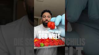 DIE SCHÄRFSTEN CHILIS 🌶️ rezept food [upl. by Asiret]