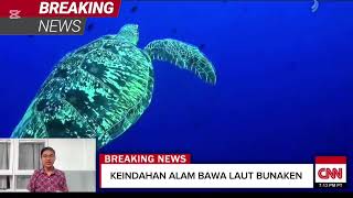 Taman Nasion Bunaken Mengundang Perhantian Wisatawan dengan Keindahan Bawah Laut Yang Menakjubkan [upl. by Lowndes618]