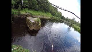 Irish Salmon Fishing River Drowes [upl. by Eiboh359]